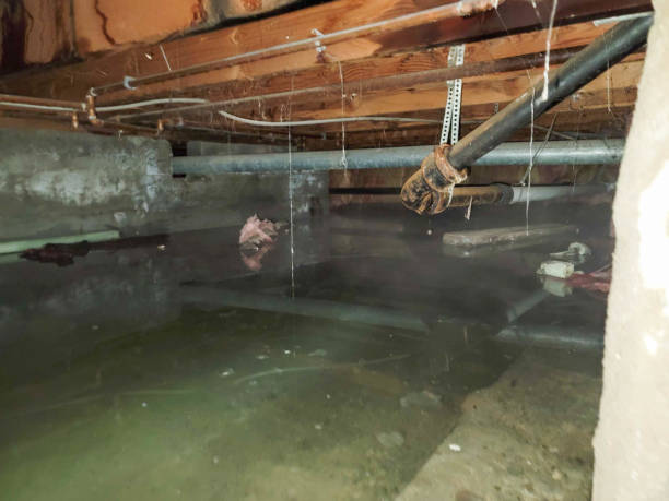 Best Commercial water damage restoration  in Jonesboro, IN