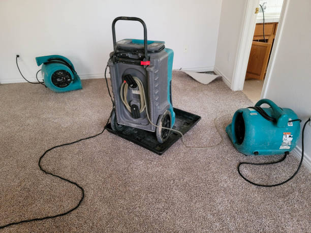 Best Flood damage cleanup  in Jonesboro, IN
