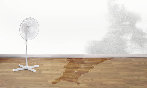 Best Water damage restoration experts  in Jonesboro, IN