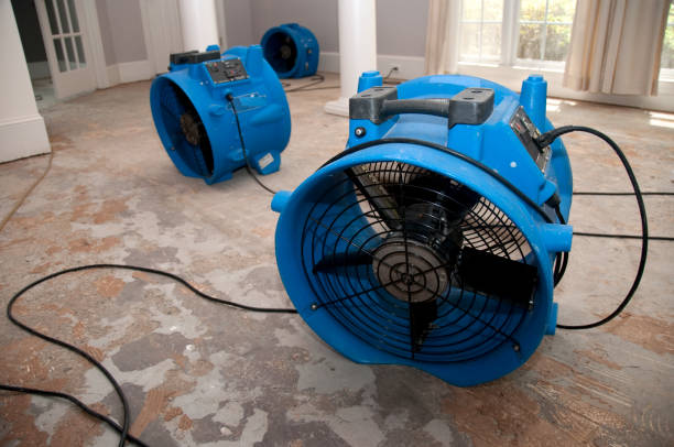Best Flood damage cleanup  in Jonesboro, IN
