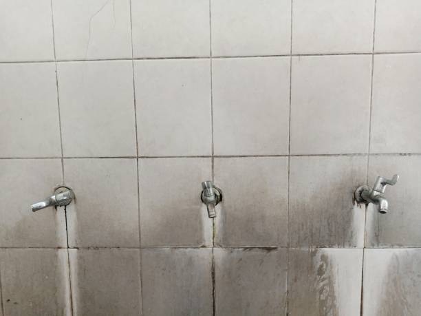  Jonesboro, IN Water damage restoration Pros