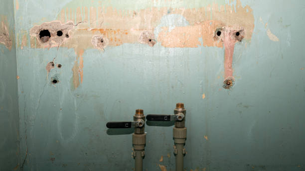 Best Water damage restoration near me  in Jonesboro, IN